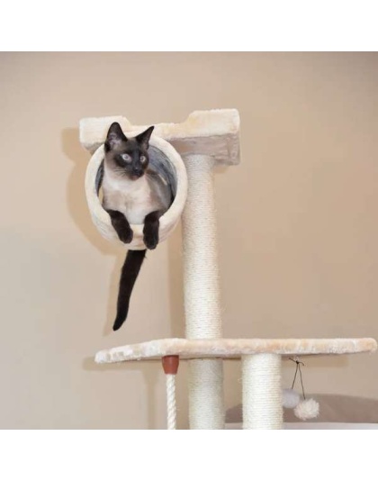 Real Wood 62" Cat tree With Scratch posts, Hammock for Cats