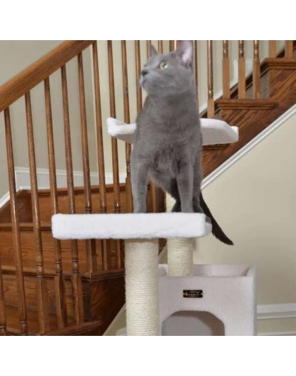 Real Wood B6802 Classic Cat Tree In Ivory 6 Levels Condo