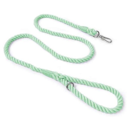 Mint Green - Rope Leash by Puppy Community
