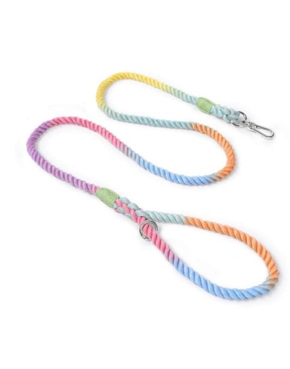 Rainbow - Rope Leash by Puppy Community