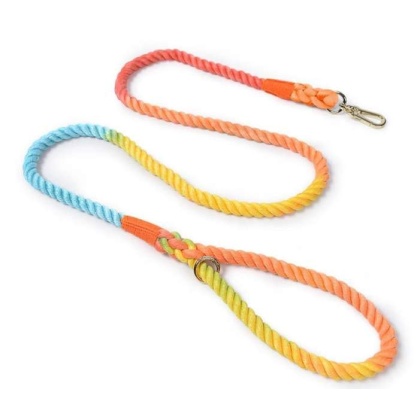 Sunburst - Rope Leash by Puppy Community