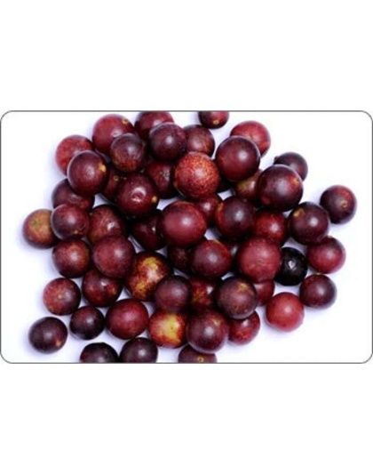 All Shins & Grins Capsules - Antioxidant Super Food Bone, Eye, Teeth & Skin Support Dog & Cat* - DOG/ 150 caps / 500 mg.