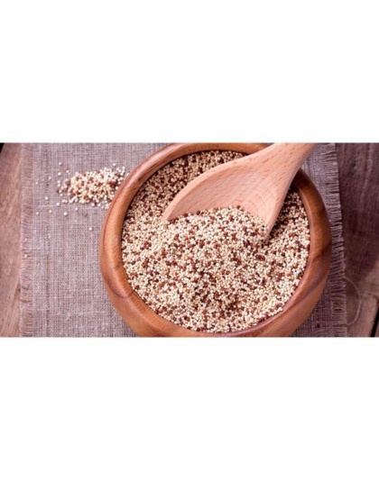 Canihua Flour - Organic Ancient Seed Grain - Complete Protein - Wheat & Gluten Free* The Petz Kitchen Dog & Cat Super Foods* - 2 Oz