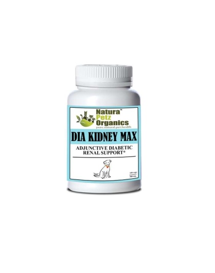 Dia Kidney Max Capsules* Adjunctive Diabetic Renal Support* Dogs And Cats - DOG 250 Caps / 500 mg.