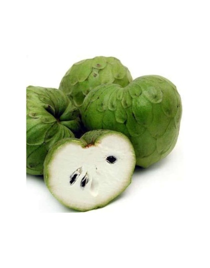 Get Well Soon - Adjunctive Lipoma + Infection Defense* - CAT/ 90 caps / 325 mg