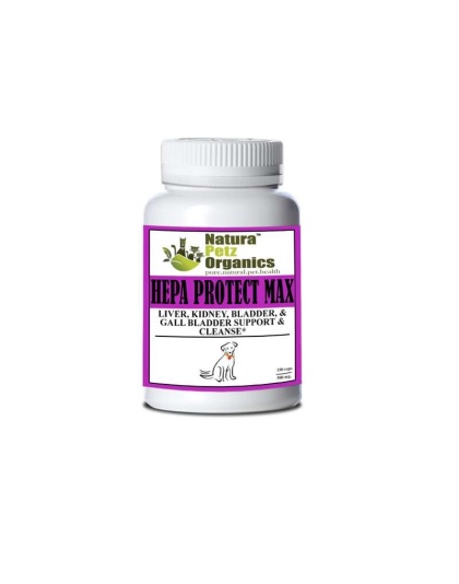 Hepa Protect Max Capsules - Liver, Kidney, Bladder & Gall Bladder Support & Cleanse* - DOG/ 150 caps / 500 mg
