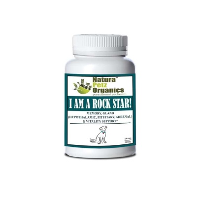 I Am A Rock Star - Memory, Gland (Hypothalamic, Pituitary And Adrenal) & Vitality Support* - DOG/ 250 caps / 500 mg