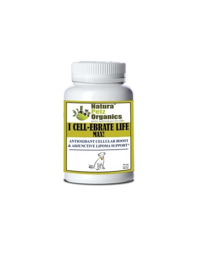 I Cellebrate Life Max - Antioxidant Cellular Boost + Adjunctive Lipoma Support* - DOG/ 90 caps / 500 mg /NO Flavoring