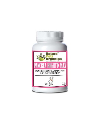Pancrea Rightis Max Support* Capsules Pancreas Inflammation & Flow Support Dogs Cats* - DOG - 90 caps / 500 mg