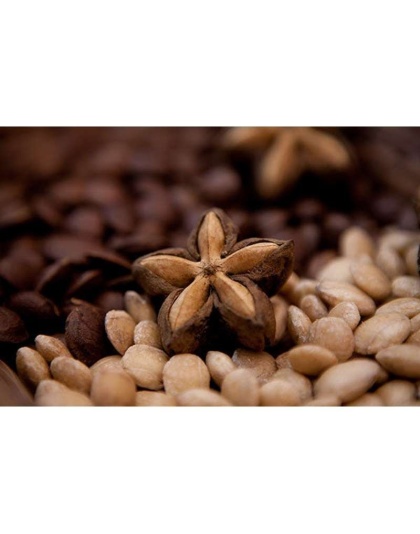 Sacha Inchi Omega 3 & 6 Digestive Support The Petz Kitchen- Organic & Human Grade Ingredients For Home Prepared Meals & Treats - 8 Oz