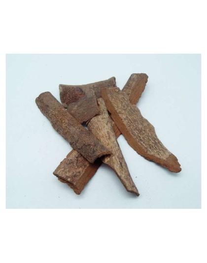 Seal Em And Seal Em Tincture - Wound, Infection, Cut & Hot Spot Support* - CAT / 1 fl oz.