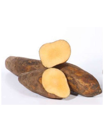 Yacon Leaf - Antioxidant Pancreatic Support* Glycemic & Glucose Support* The Petz Kitchen - Organic Human Grade Ingredients For Home Prepared Meals & Treats - 8 Oz