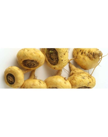 Yellow Maca* Complete Protein & Cognitive & Glandular Support* The Petz Kitchen Organic & Human Grade Ingredients For Home Prepared Meals & Treats* - 8 oz.