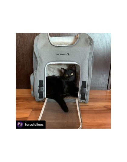 Mr. Peanut's Aspen Series Airline Capable Backpack Pet Carrier - 18 in Hx14 in Wx9 in D