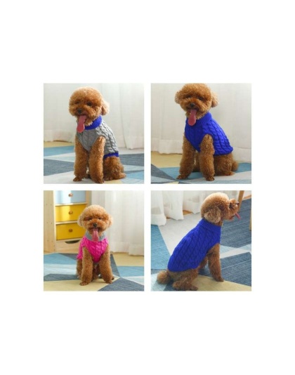 Gray With Regal Blue Fringe - Mr. Peanut's Knitted Acrylic Dog Sweaters - Medium
