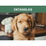 Mr. Peanut's Naturals 5 In 1 Pet Wash - Organic Dog Shampoo & Conditioner - Defense Against Dandruff, Allergies, & Itchy, Dry, Sensitive Skin -