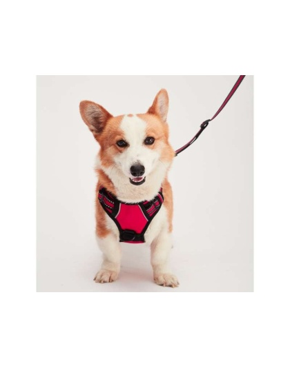 Red - Mr. Peanut's PetTrek Reflective Pet Harness With Matching Leash - XSmall