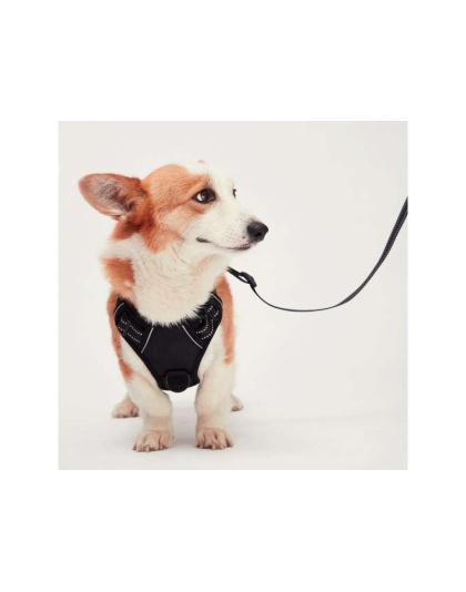 Black - Mr. Peanut's PetTrek Reflective Pet Harness With Matching Leash - Small