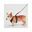 Black - Mr. Peanut's PetTrek Reflective Pet Harness With Matching Leash - Small