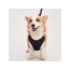 Black - Mr. Peanut's PetTrek Reflective Pet Harness With Matching Leash - Small