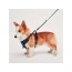 Blue - Mr. Peanut's PetTrek Reflective Pet Harness With Matching Leash - Small