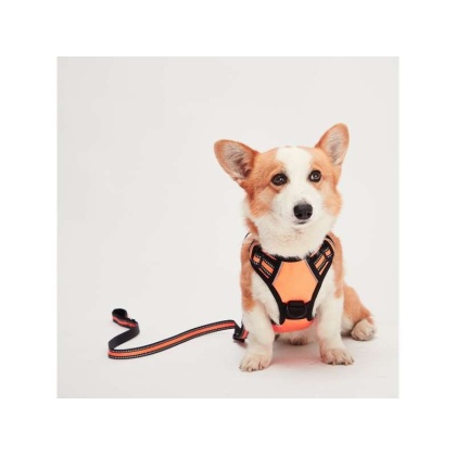 Orange - Mr. Peanut's PetTrek Reflective Pet Harness With Matching Leash - Medium