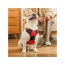 Red - Mr. Peanut's PetTrek Reflective Pet Harness With Matching Leash - Small