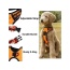 Orange - Mr. Peanut's PetTrek Reflective Pet Harness With Matching Leash - Medium