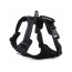 Black - Mr. Peanut's PetTrek Reflective Pet Harness With Matching Leash - Large