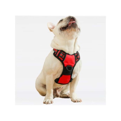 Red - Mr. Peanut's PetTrek Reflective Pet Harness With Matching Leash - Large