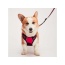 Red - Mr. Peanut's PetTrek Reflective Pet Harness With Matching Leash - Large