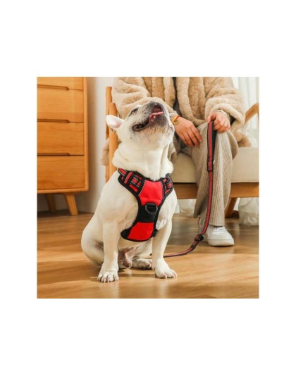 Red - Mr. Peanut's PetTrek Reflective Pet Harness With Matching Leash - Large