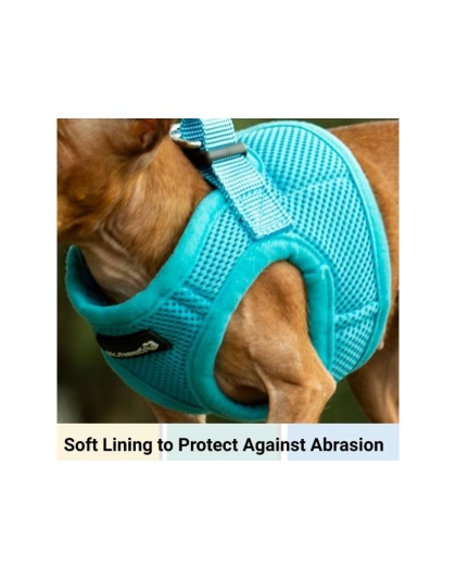 Blue - Mr. Peanut's PupTrek Small Dog/Cat Soft Mesh Step In Harness Vest - XSmall