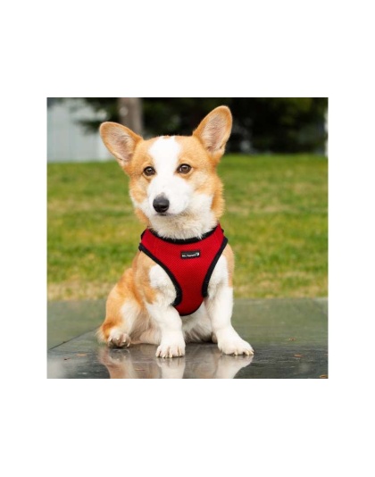 Red - Mr. Peanut's PupTrek Small Dog/Cat Soft Mesh Step In Harness Vest - Small