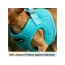 Blue - Mr. Peanut's PupTrek Small Dog/Cat Soft Mesh Step In Harness Vest - Small