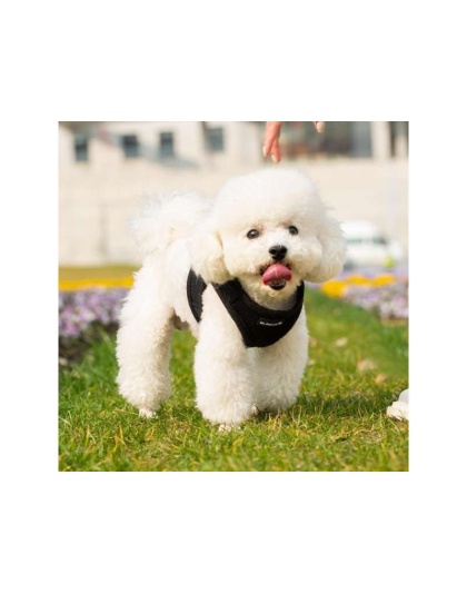 Black - Mr. Peanut's PupTrek Small Dog/Cat Soft Mesh Step In Harness Vest - Medium