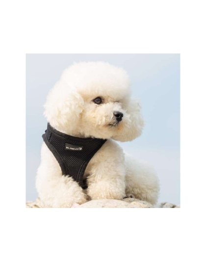Black - Mr. Peanut's PupTrek Small Dog/Cat Soft Mesh Step In Harness Vest - Medium
