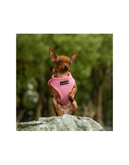 Pink - Mr. Peanut's PupTrek Small Dog/Cat Soft Mesh Step In Harness Vest - Medium