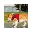 Red - Mr. Peanut's PupTrek Small Dog/Cat Soft Mesh Step In Harness Vest - Medium