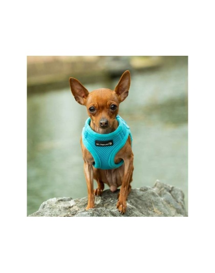 Blue - Mr. Peanut's PupTrek Small Dog/Cat Soft Mesh Step In Harness Vest - Large