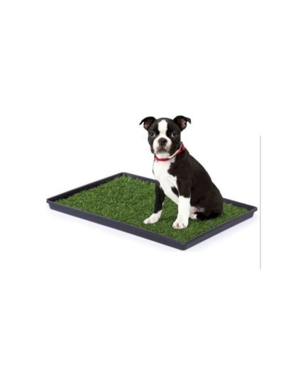 Mr. Peanut's Potty Place - Artificial Grass Puppy Pad for Dogs and Small Pets - Small: 25 in L x 20 in W x 1 1/4 in H