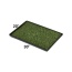 Mr. Peanut's Potty Place - Artificial Grass Puppy Pad for Dogs and Small Pets - Medium: 30 in L x 20 in W x 1 1/4 in H