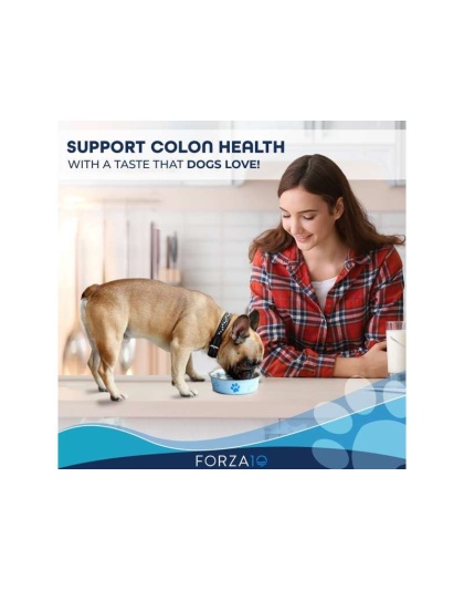 Forza10 Active Colon Support Diet Phase 1 Dry Dog Food - 22-lb bag