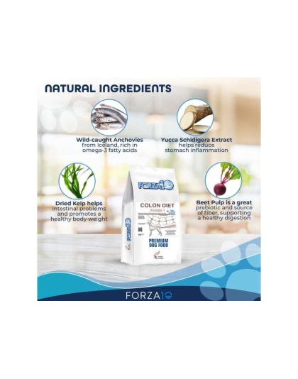 Forza10 Active Colon Support Diet Phase 1 Dry Dog Food - 22-lb bag