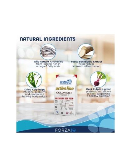 Forza10 Active Colon Support Diet Phase 1 Dry Dog Food - 8-lb bag