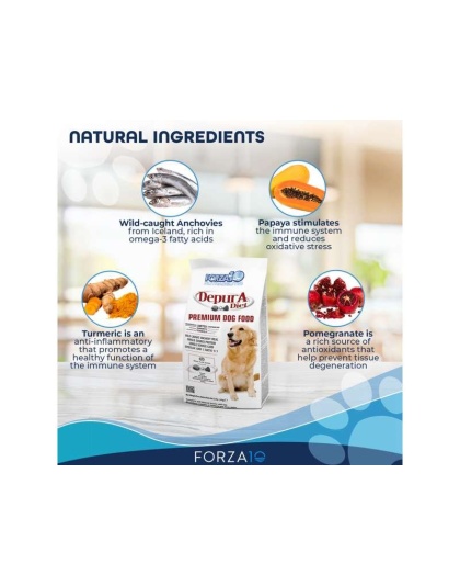 Forza10 Active Depura Fish Diet Dry Dog Food - 22-lb bag