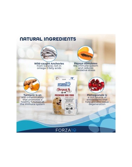 Forza10 Active Depura Fish Diet Dry Dog Food - 6-lb bag