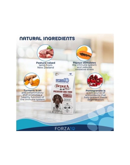 Forza10 Active Depura Diet Lamb Dry Dog Food - 25-lb bag