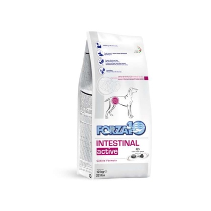 Forza10 Active Intestinal Support Diet Dry Dog Food - 22-lb bag
