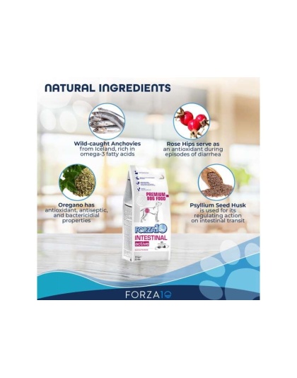 Forza10 Active Intestinal Support Diet Dry Dog Food - 22-lb bag